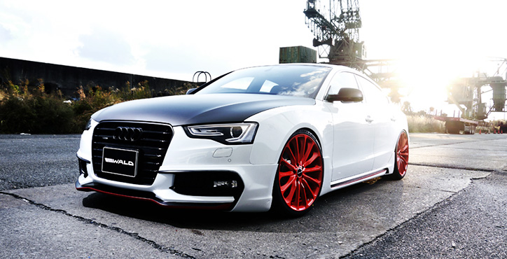 六宝资科免费大全