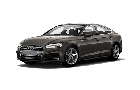 六宝资科免费大全