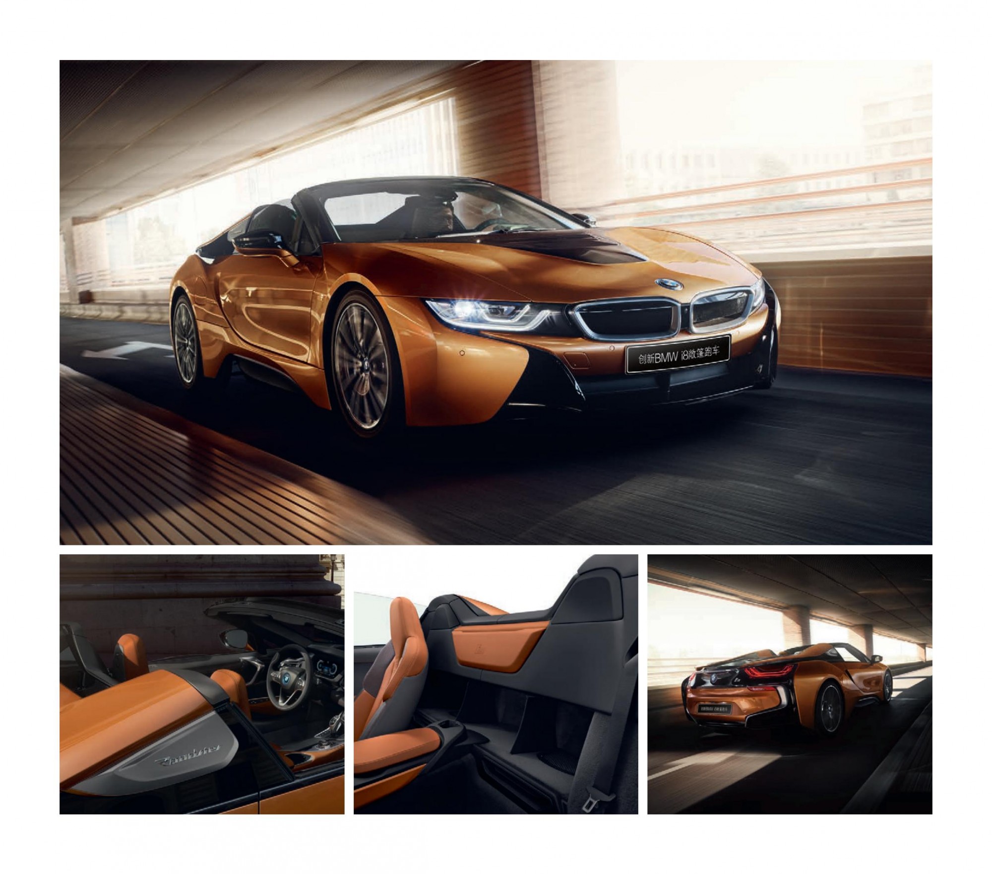 六宝资科免费大全